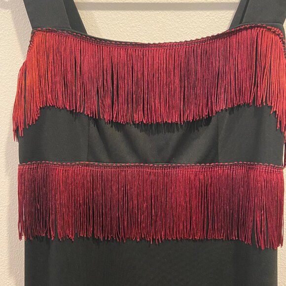 Fred Rothschild Vintage Sheath Dress With Fringe Size 12 - Picture 6 of 13